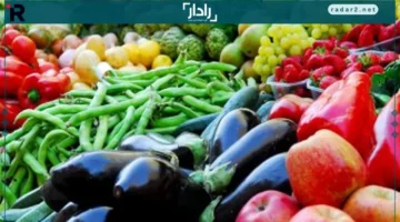 أسعار الطماطم والخضروات في أسوان تتراجع إلى 5 جنيهات الأربعاء